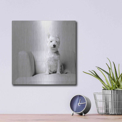 Luxe Metal Art 'White on White' by Edward M. Fielding, Metal Wall Art,12x12