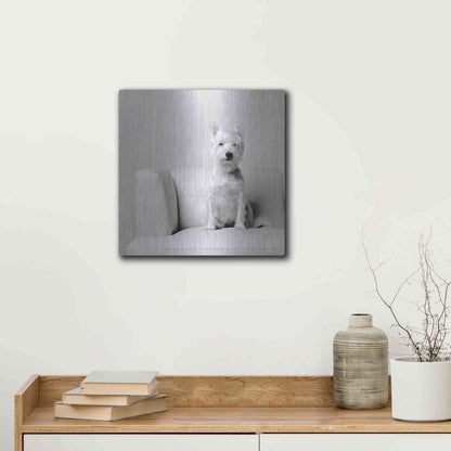 Luxe Metal Art 'White on White' by Edward M. Fielding, Metal Wall Art,12x12