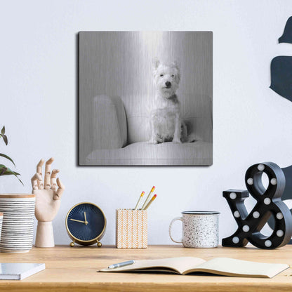 Luxe Metal Art 'White on White' by Edward M. Fielding, Metal Wall Art,12x12