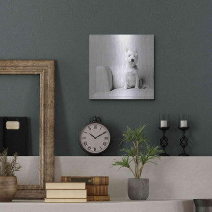 Luxe Metal Art 'White on White' by Edward M. Fielding, Metal Wall Art,12x12