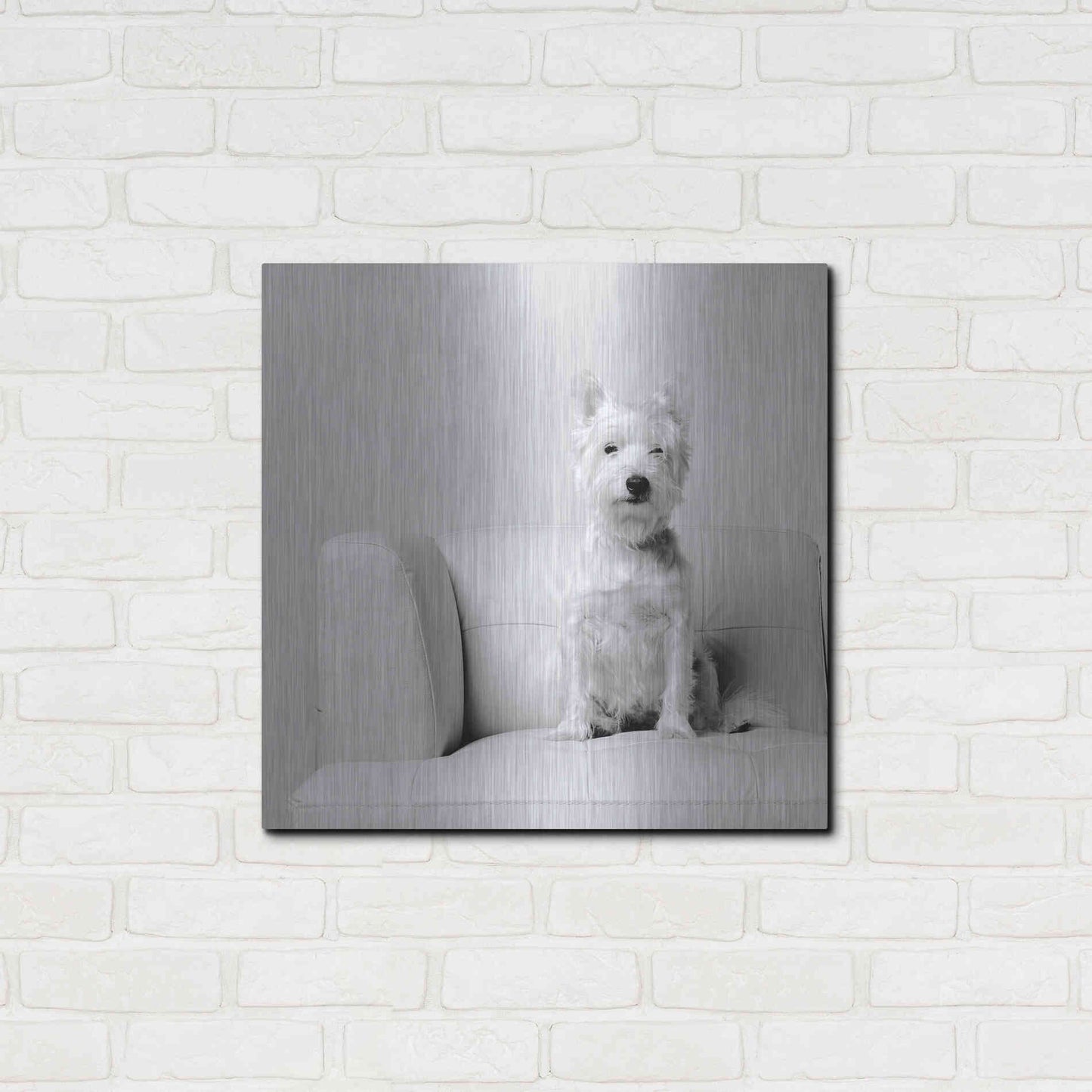 Luxe Metal Art 'White on White' by Edward M. Fielding, Metal Wall Art,24x24