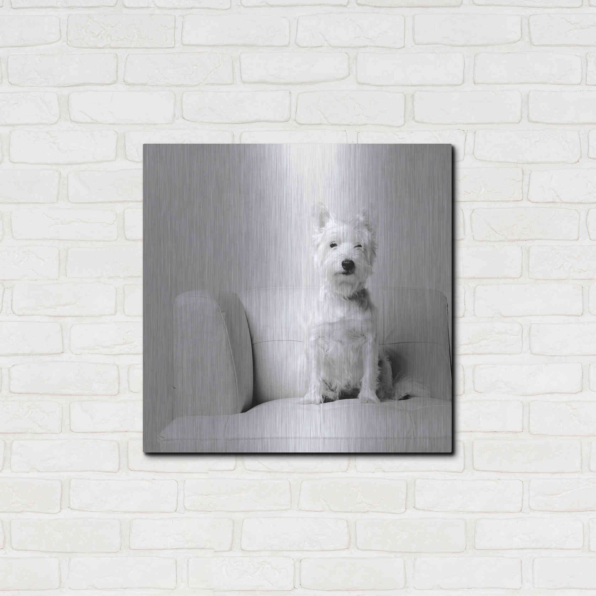 Luxe Metal Art 'White on White' by Edward M. Fielding, Metal Wall Art,24x24