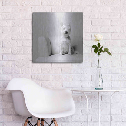 Luxe Metal Art 'White on White' by Edward M. Fielding, Metal Wall Art,24x24