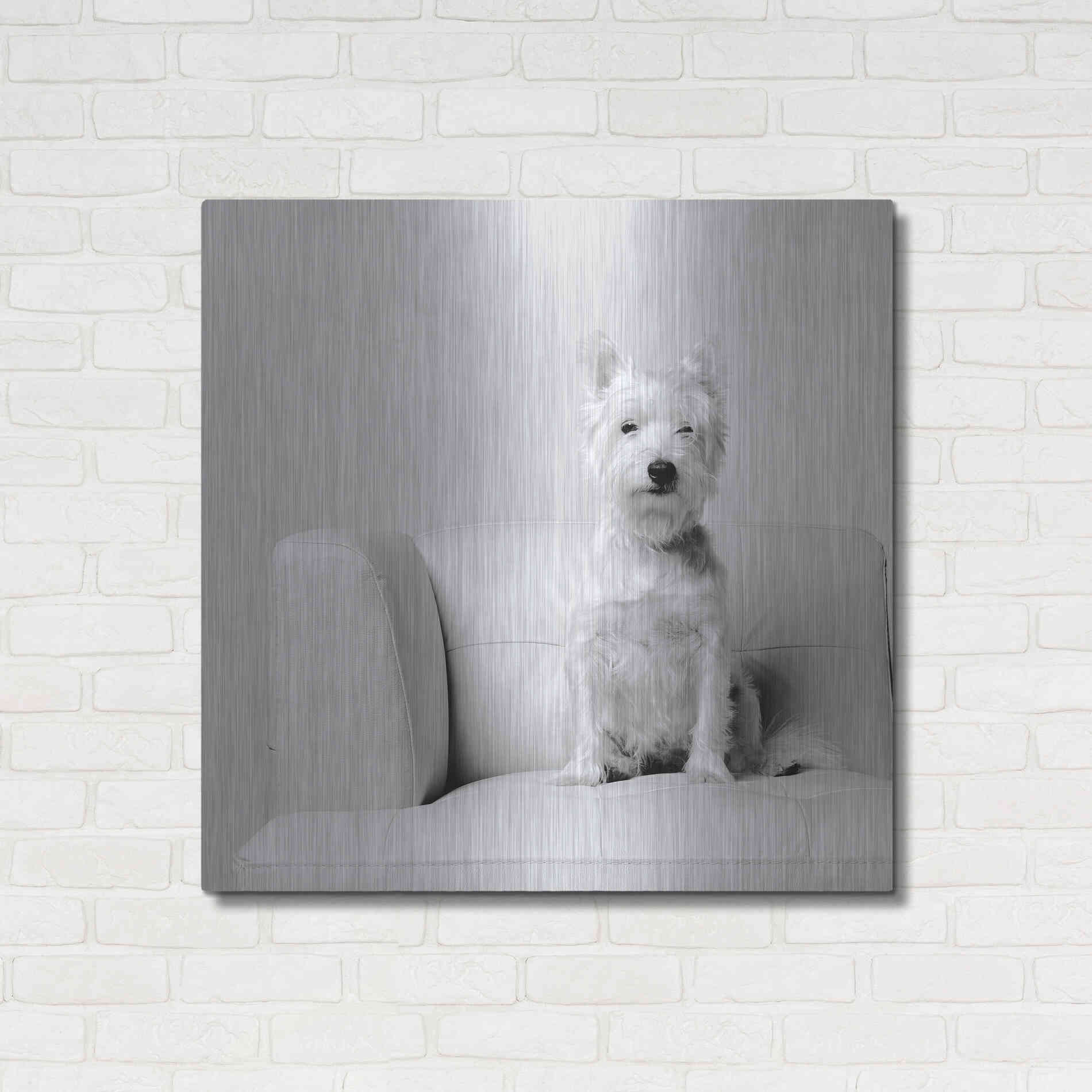 Luxe Metal Art 'White on White' by Edward M. Fielding, Metal Wall Art,36x36