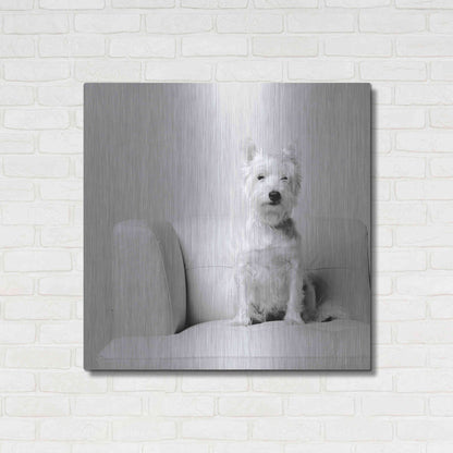 Luxe Metal Art 'White on White' by Edward M. Fielding, Metal Wall Art,36x36