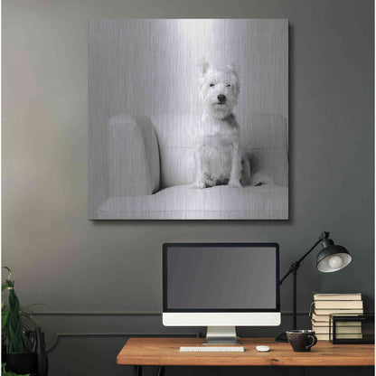 Luxe Metal Art 'White on White' by Edward M. Fielding, Metal Wall Art,36x36