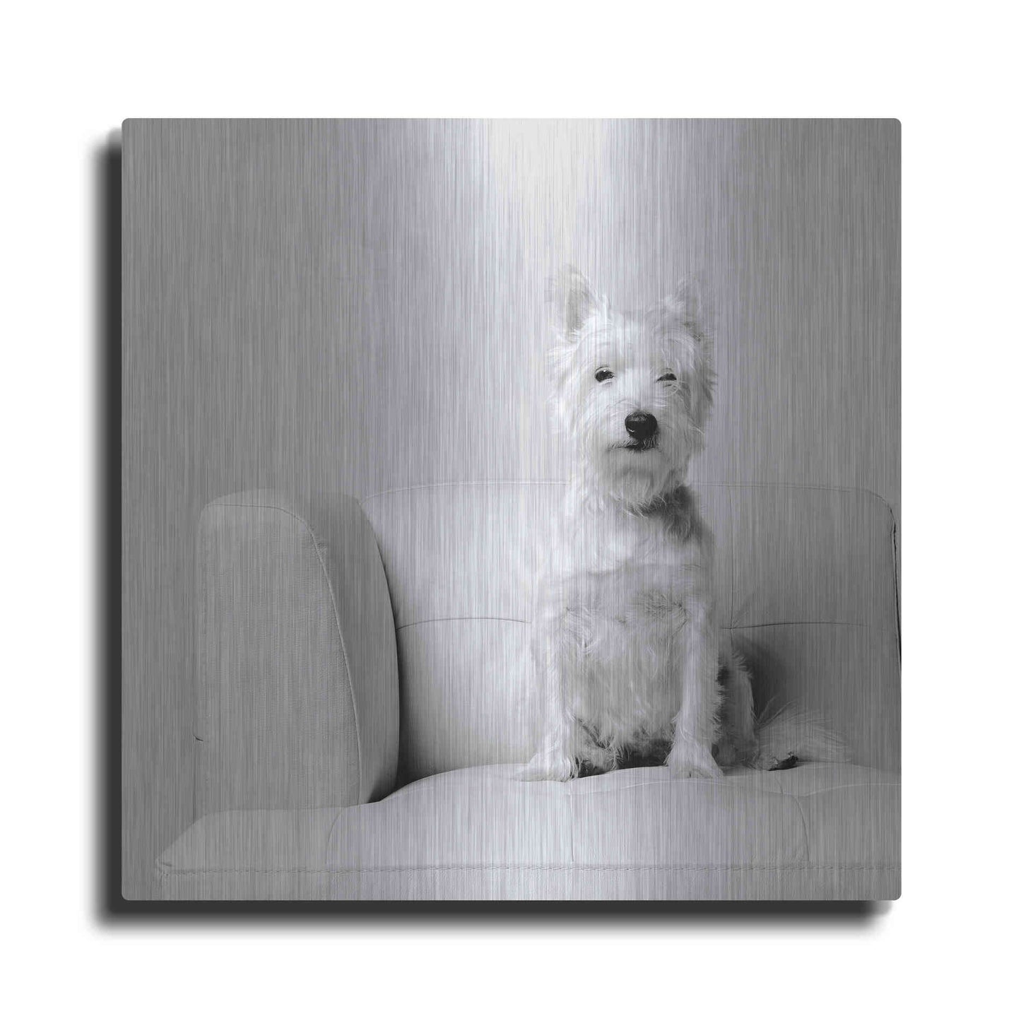 Luxe Metal Art 'White on White' by Edward M. Fielding, Metal Wall Art