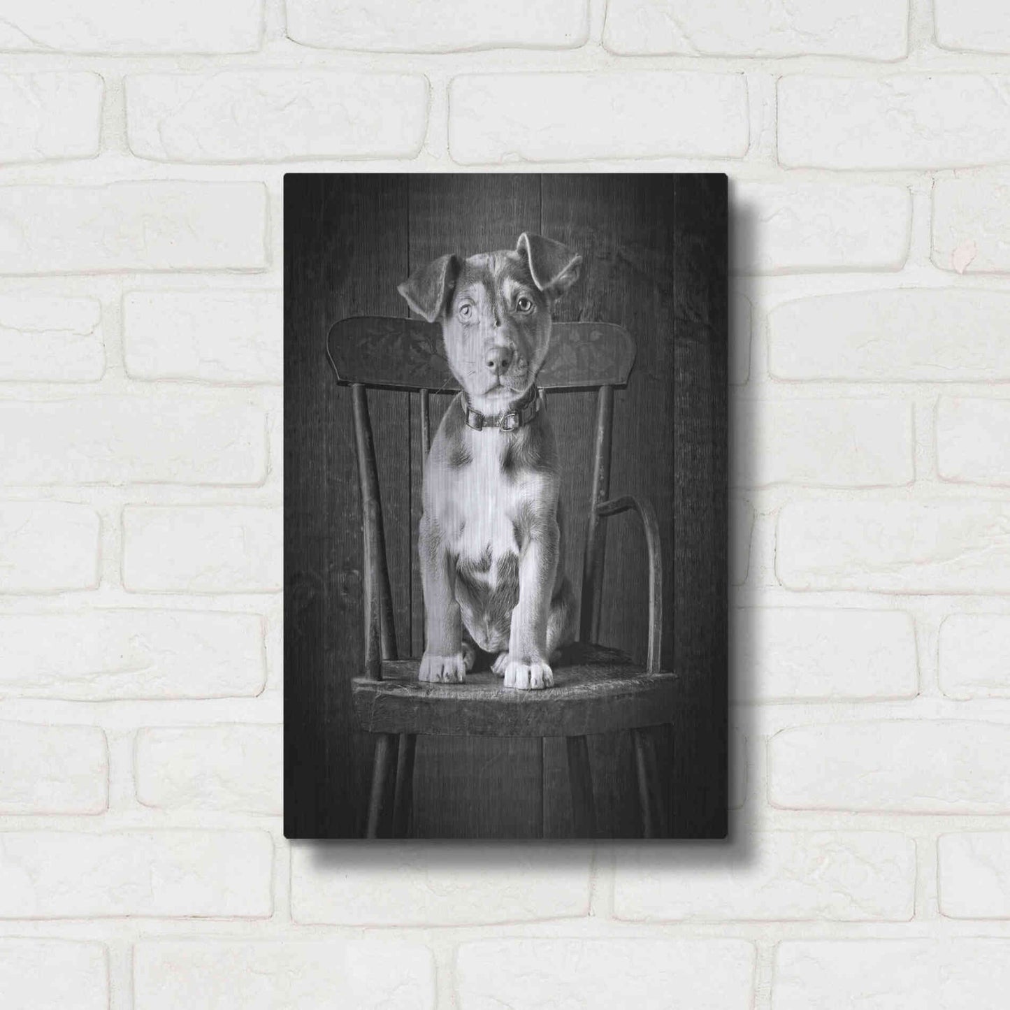 Luxe Metal Art 'Mutt Black & White' by Edward M. Fielding, Metal Wall Art,12x16