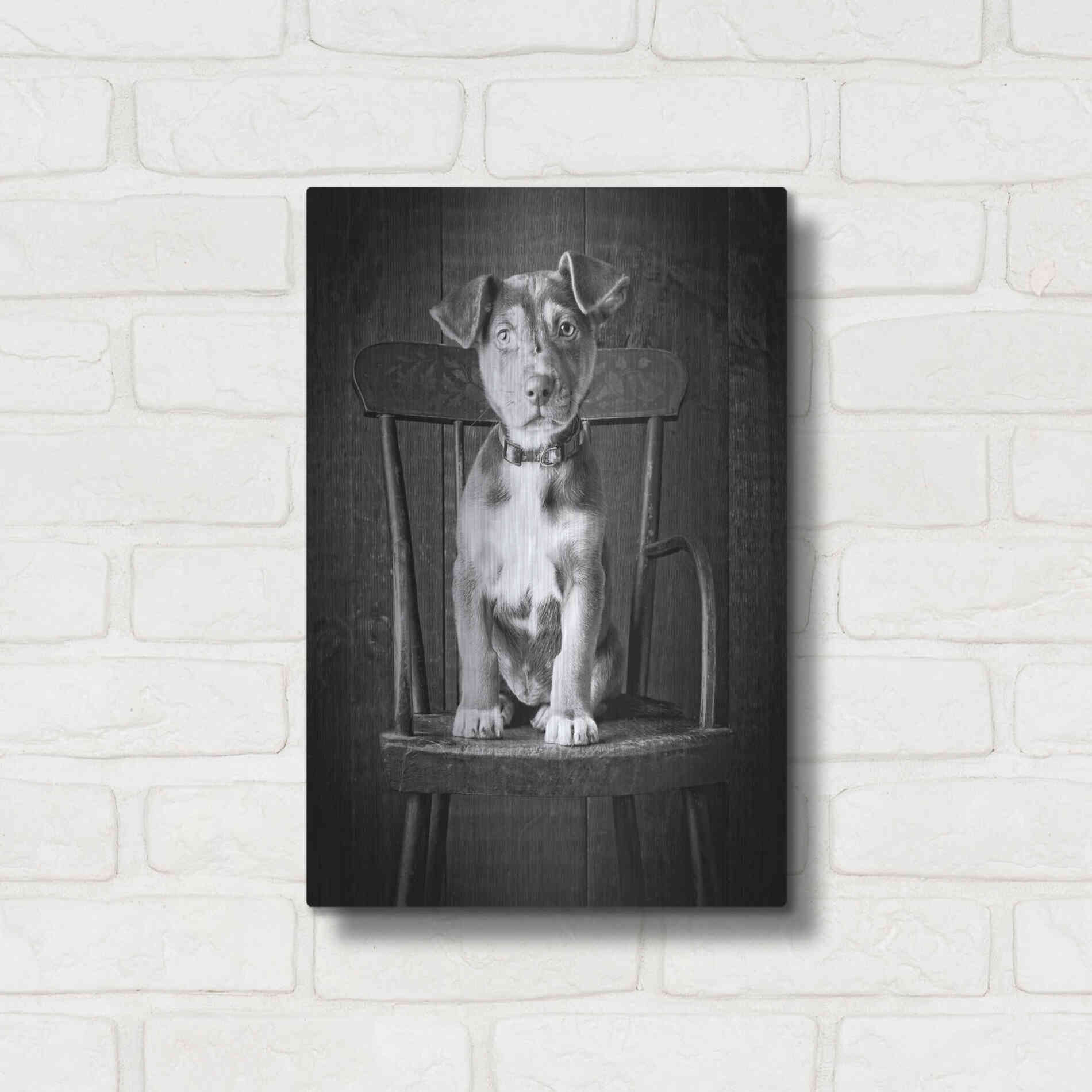 Luxe Metal Art 'Mutt Black & White' by Edward M. Fielding, Metal Wall Art,12x16