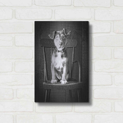 Luxe Metal Art 'Mutt Black & White' by Edward M. Fielding, Metal Wall Art,12x16