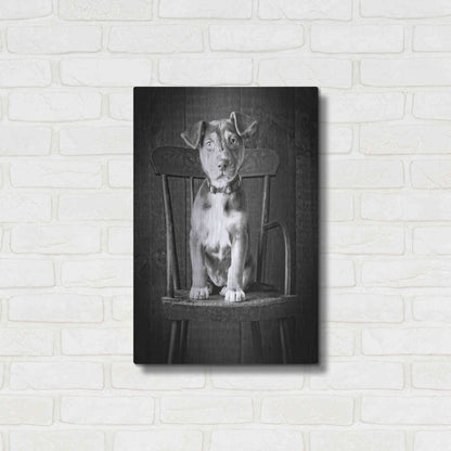 Luxe Metal Art 'Mutt Black & White' by Edward M. Fielding, Metal Wall Art,16x24