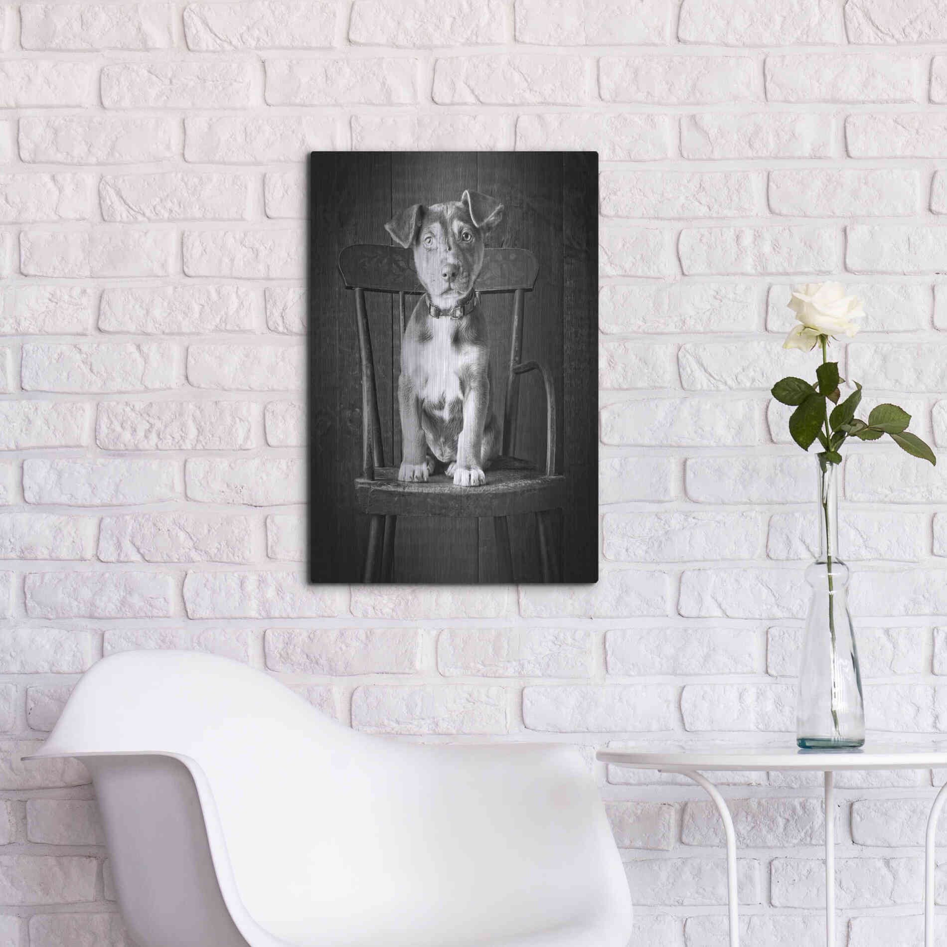 Luxe Metal Art 'Mutt Black & White' by Edward M. Fielding, Metal Wall Art,16x24