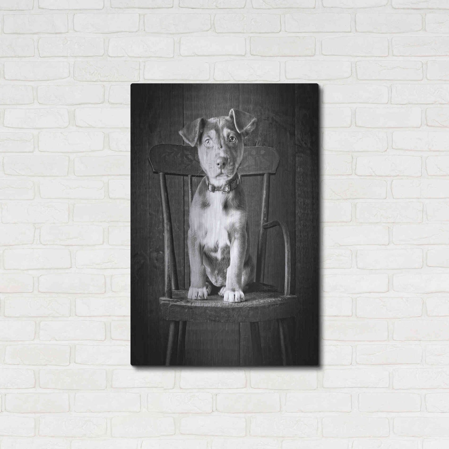 Luxe Metal Art 'Mutt Black & White' by Edward M. Fielding, Metal Wall Art,24x36