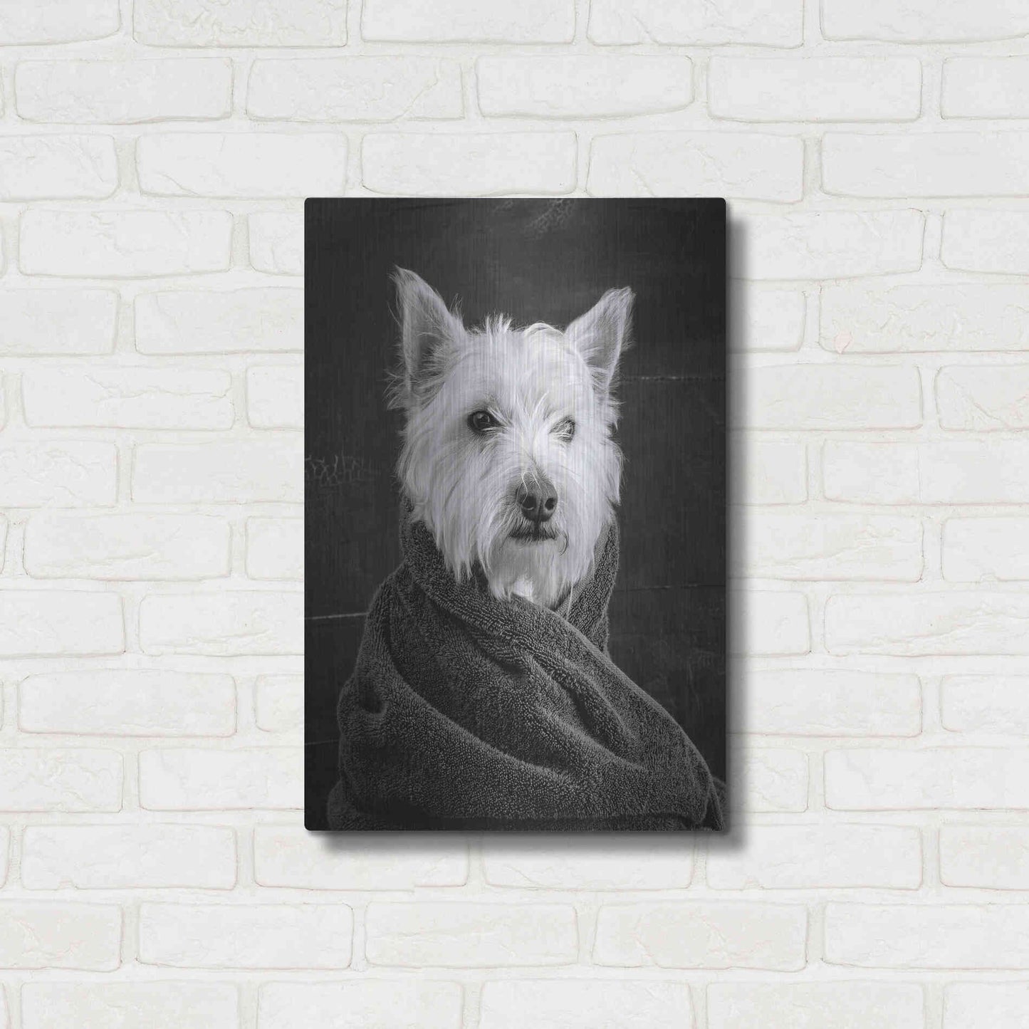 Luxe Metal Art 'Portrait of a Westy Dog' by Edward M. Fielding, Metal Wall Art,16x24