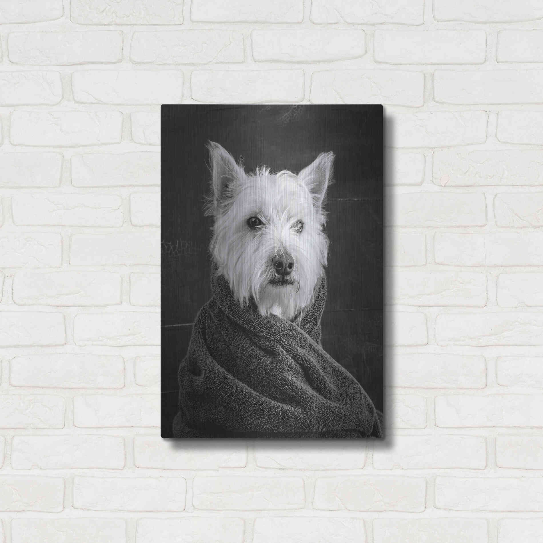 Luxe Metal Art 'Portrait of a Westy Dog' by Edward M. Fielding, Metal Wall Art,16x24