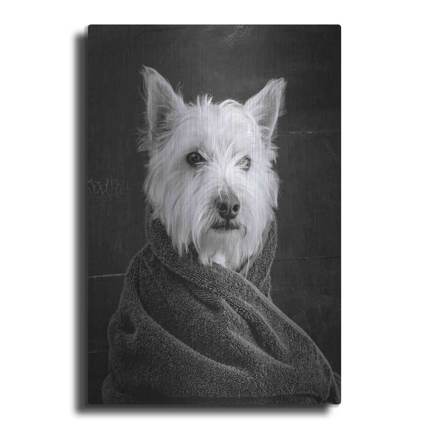 Luxe Metal Art 'Portrait of a Westy Dog' by Edward M. Fielding, Metal Wall Art