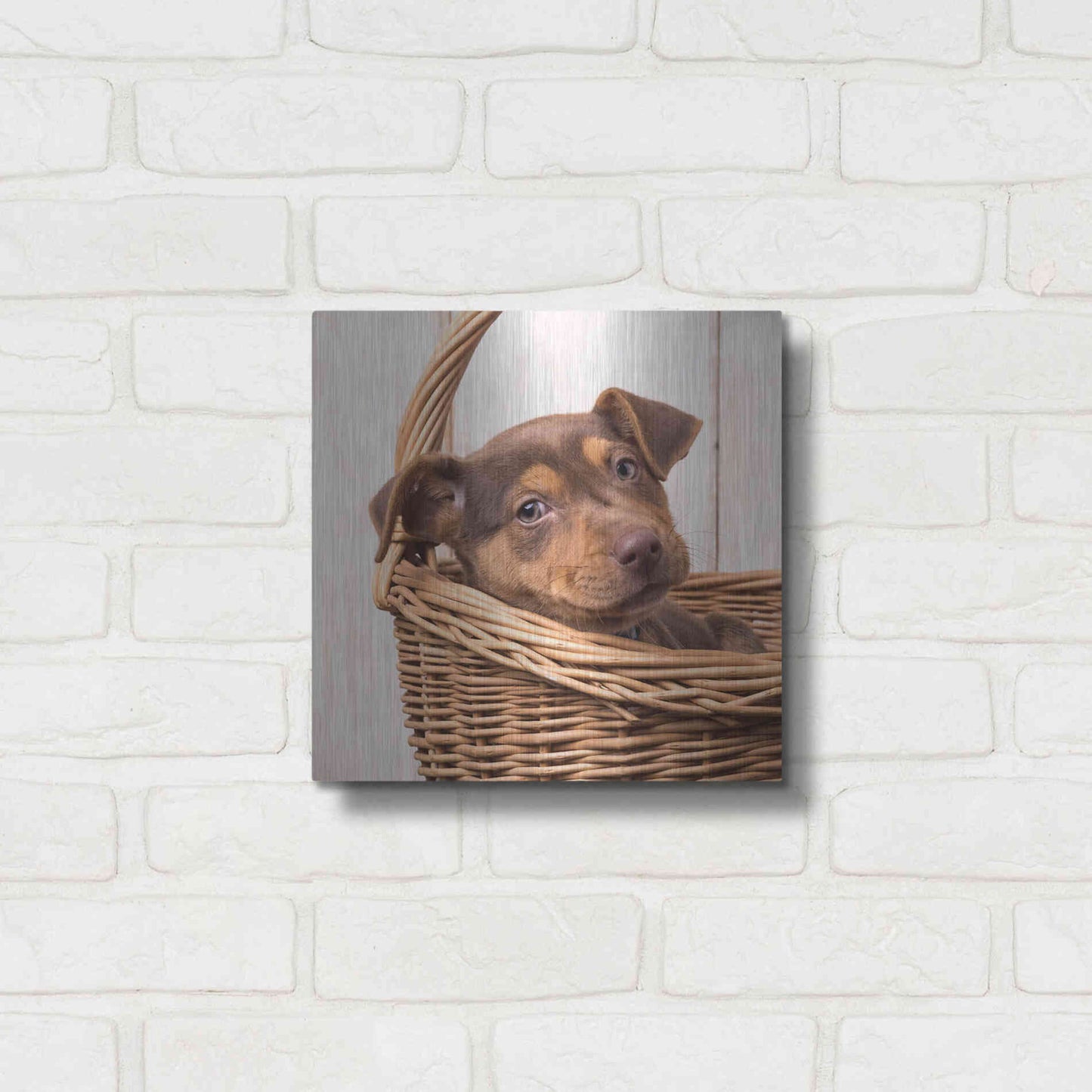 Luxe Metal Art 'Puppy in a Basket' by Edward M. Fielding, Metal Wall Art,12x12