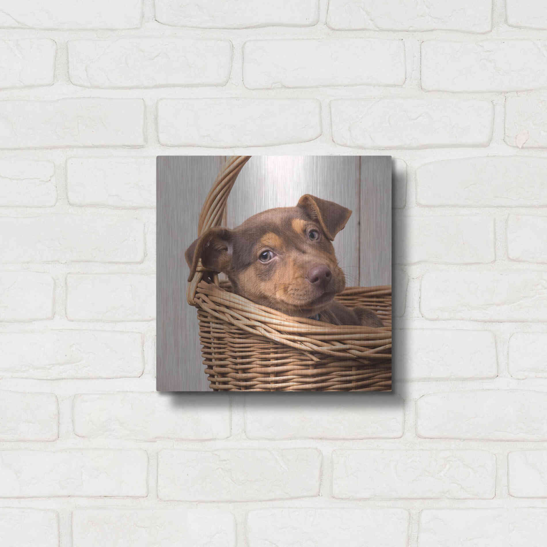 Luxe Metal Art 'Puppy in a Basket' by Edward M. Fielding, Metal Wall Art,12x12