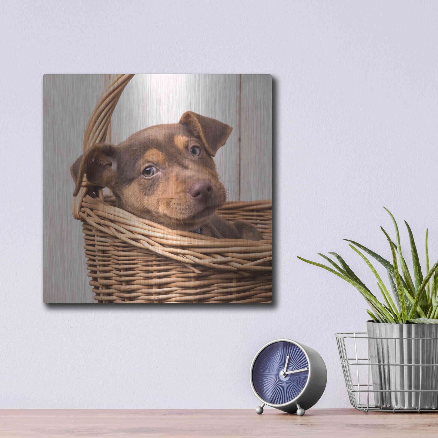 Luxe Metal Art 'Puppy in a Basket' by Edward M. Fielding, Metal Wall Art,12x12