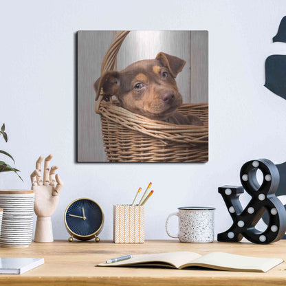 Luxe Metal Art 'Puppy in a Basket' by Edward M. Fielding, Metal Wall Art,12x12