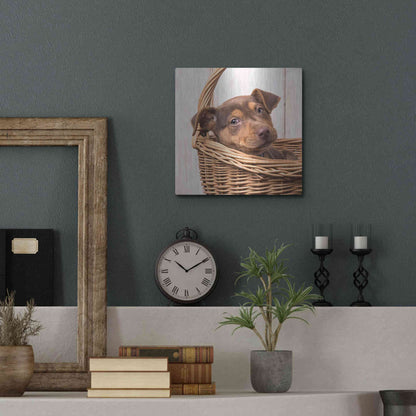 Luxe Metal Art 'Puppy in a Basket' by Edward M. Fielding, Metal Wall Art,12x12