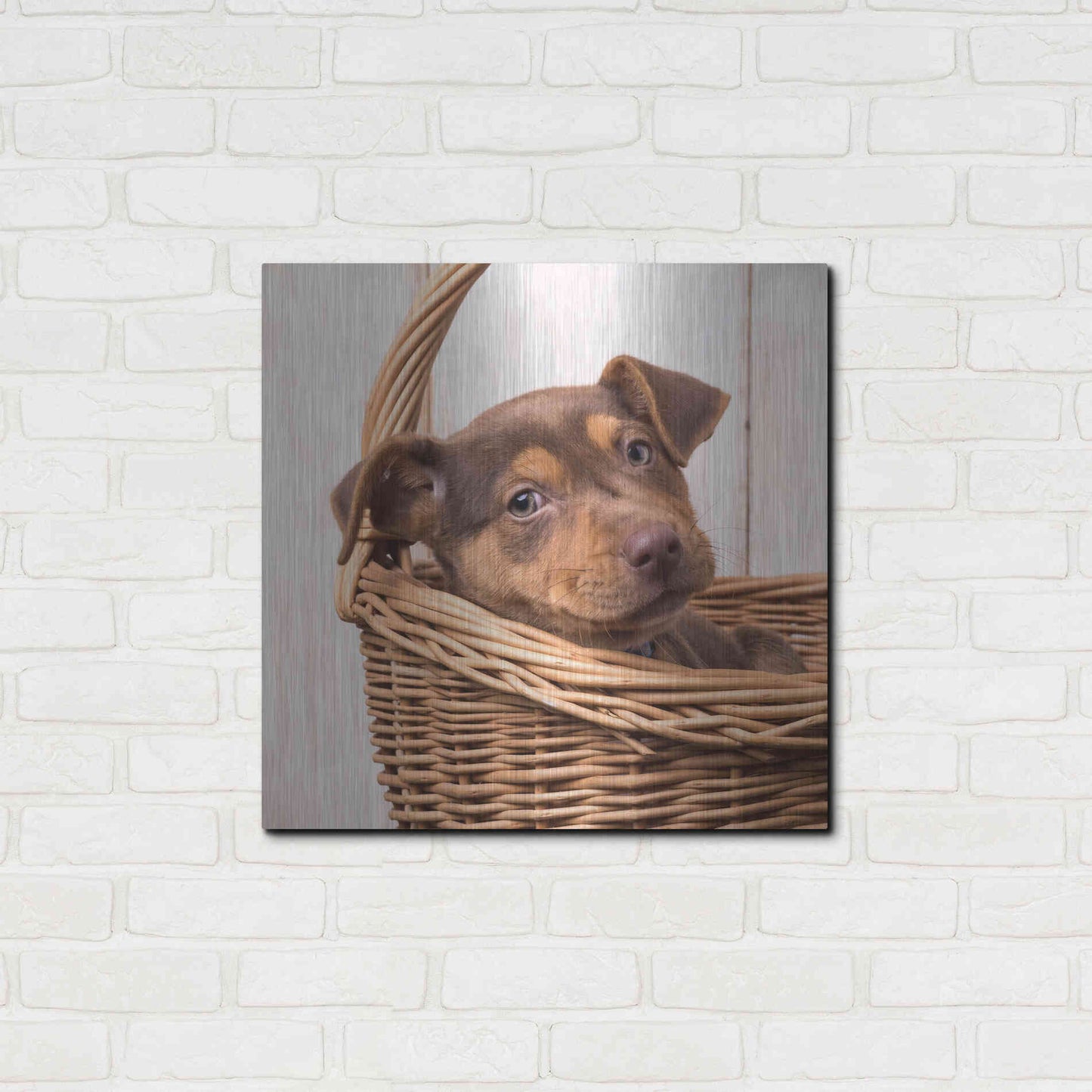 Luxe Metal Art 'Puppy in a Basket' by Edward M. Fielding, Metal Wall Art,24x24