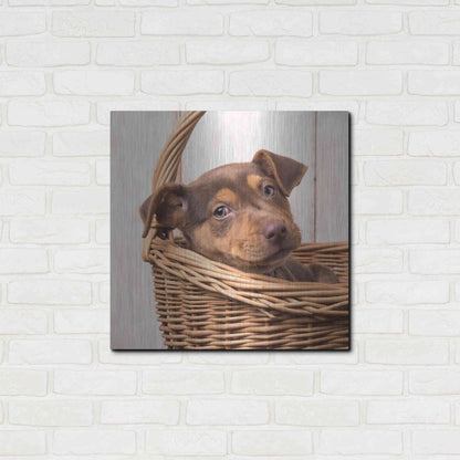 Luxe Metal Art 'Puppy in a Basket' by Edward M. Fielding, Metal Wall Art,24x24