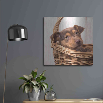 Luxe Metal Art 'Puppy in a Basket' by Edward M. Fielding, Metal Wall Art,24x24