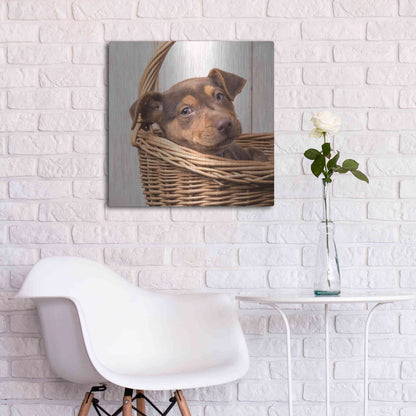 Luxe Metal Art 'Puppy in a Basket' by Edward M. Fielding, Metal Wall Art,24x24