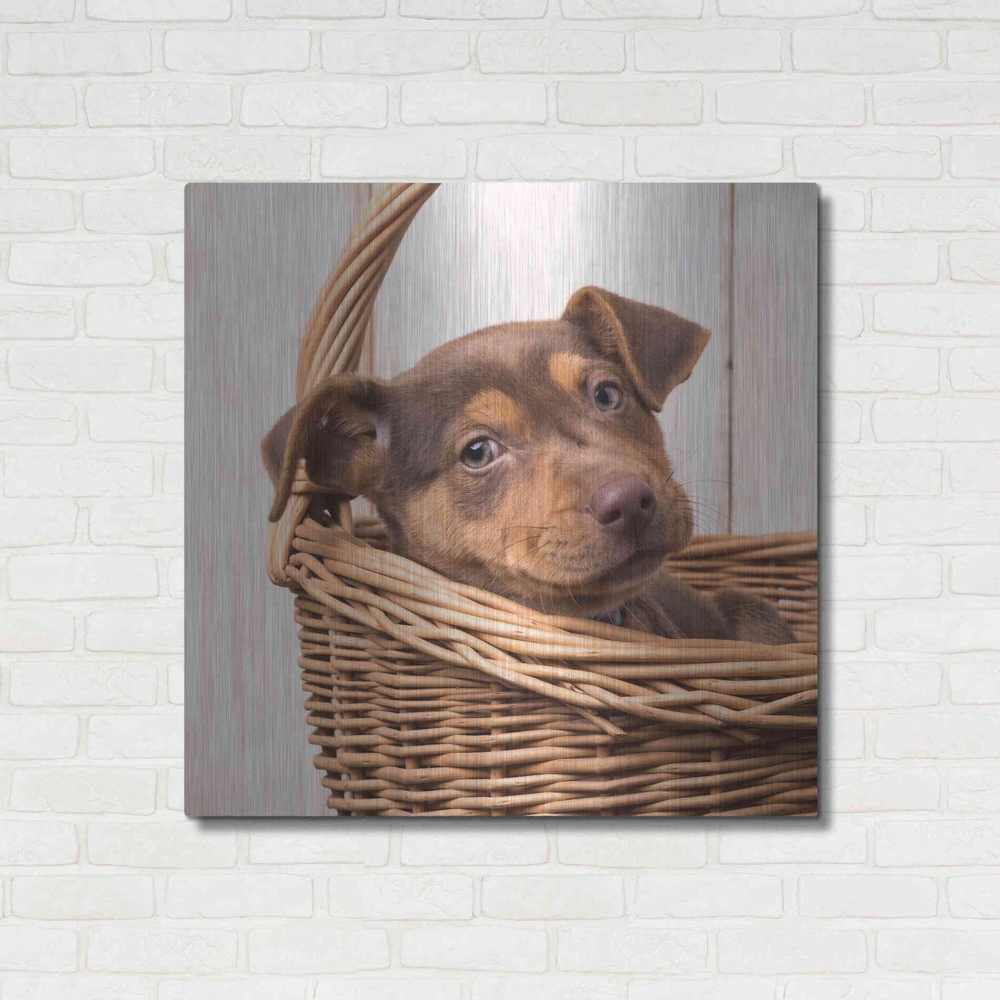 Luxe Metal Art 'Puppy in a Basket' by Edward M. Fielding, Metal Wall Art,36x36