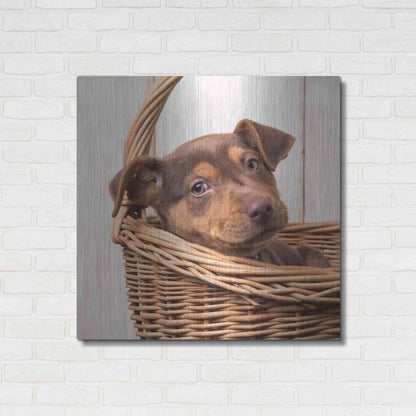 Luxe Metal Art 'Puppy in a Basket' by Edward M. Fielding, Metal Wall Art,36x36