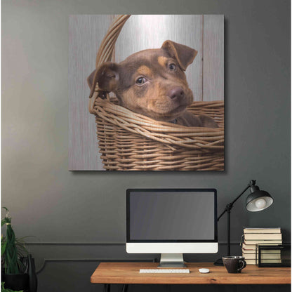 Luxe Metal Art 'Puppy in a Basket' by Edward M. Fielding, Metal Wall Art,36x36
