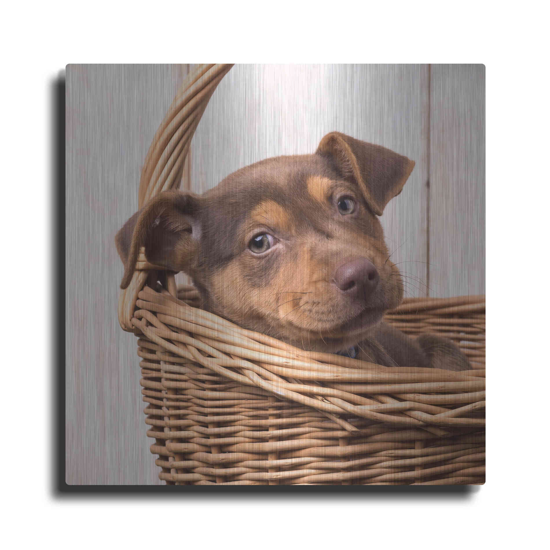 Luxe Metal Art 'Puppy in a Basket' by Edward M. Fielding, Metal Wall Art