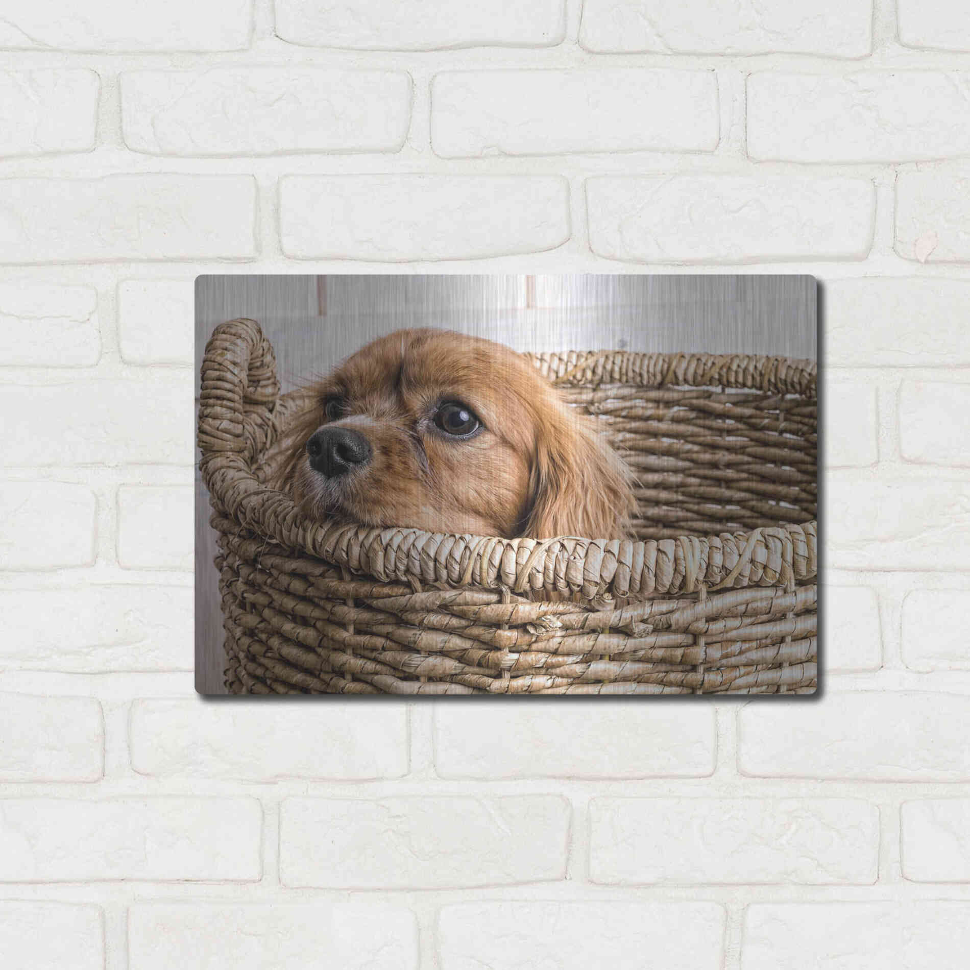 Luxe Metal Art 'Puppy in a Laundry Basket' by Edward M. Fielding, Metal Wall Art,16x12
