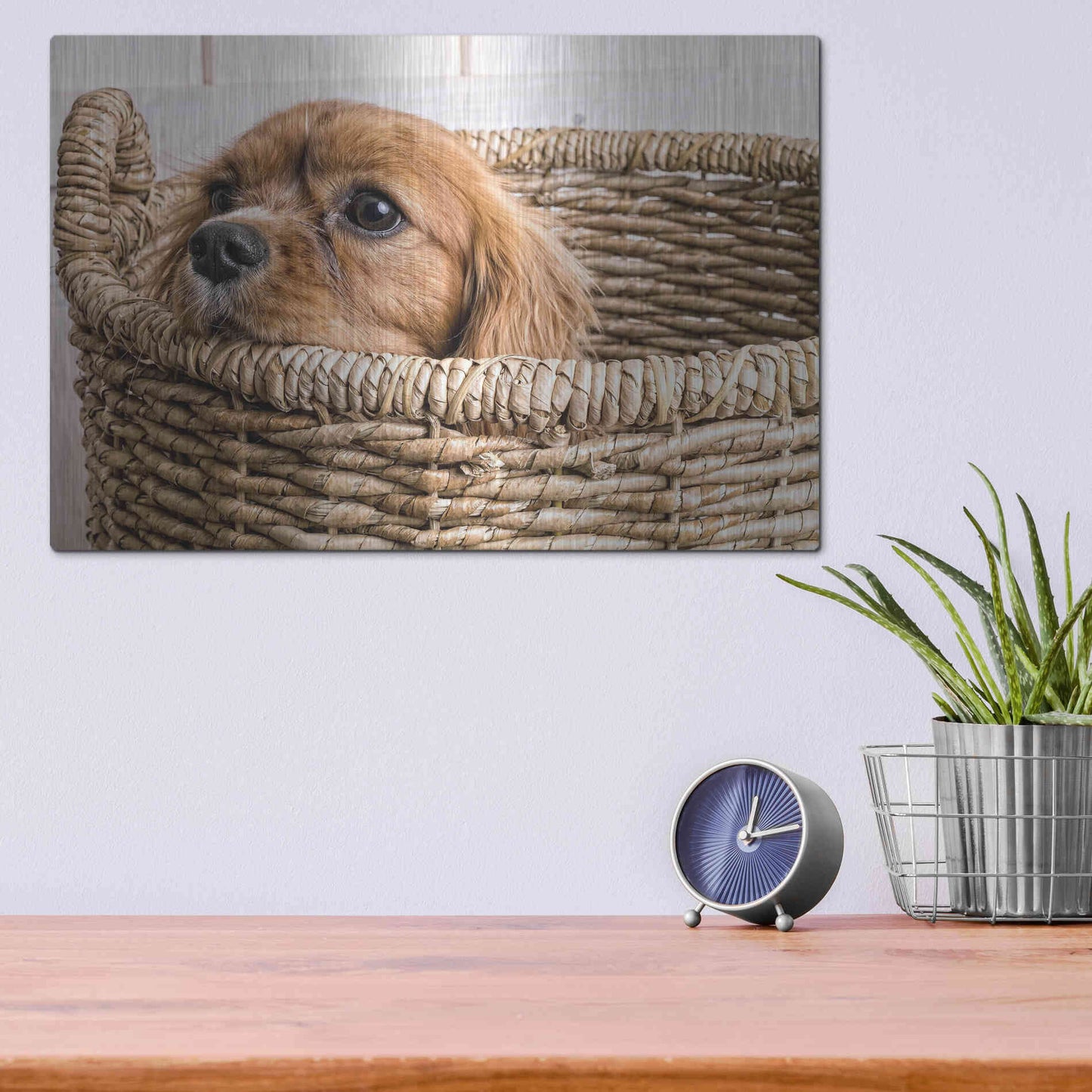 Luxe Metal Art 'Puppy in a Laundry Basket' by Edward M. Fielding, Metal Wall Art,16x12