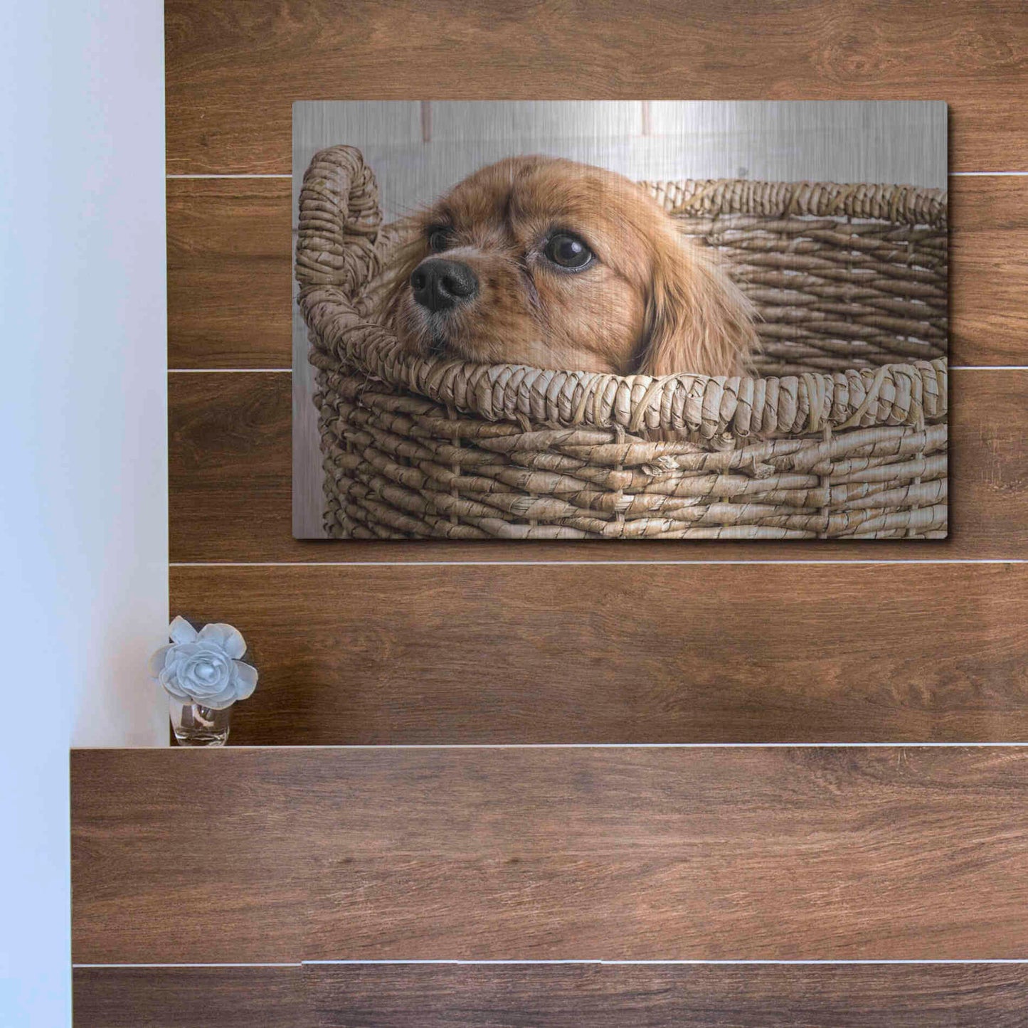 Luxe Metal Art 'Puppy in a Laundry Basket' by Edward M. Fielding, Metal Wall Art,16x12