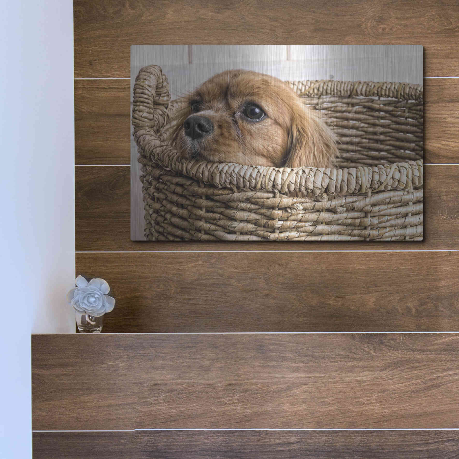 Luxe Metal Art 'Puppy in a Laundry Basket' by Edward M. Fielding, Metal Wall Art,16x12