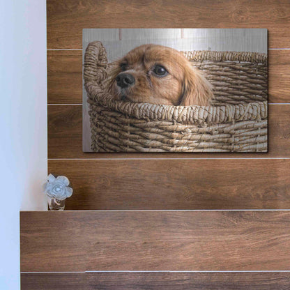 Luxe Metal Art 'Puppy in a Laundry Basket' by Edward M. Fielding, Metal Wall Art,16x12