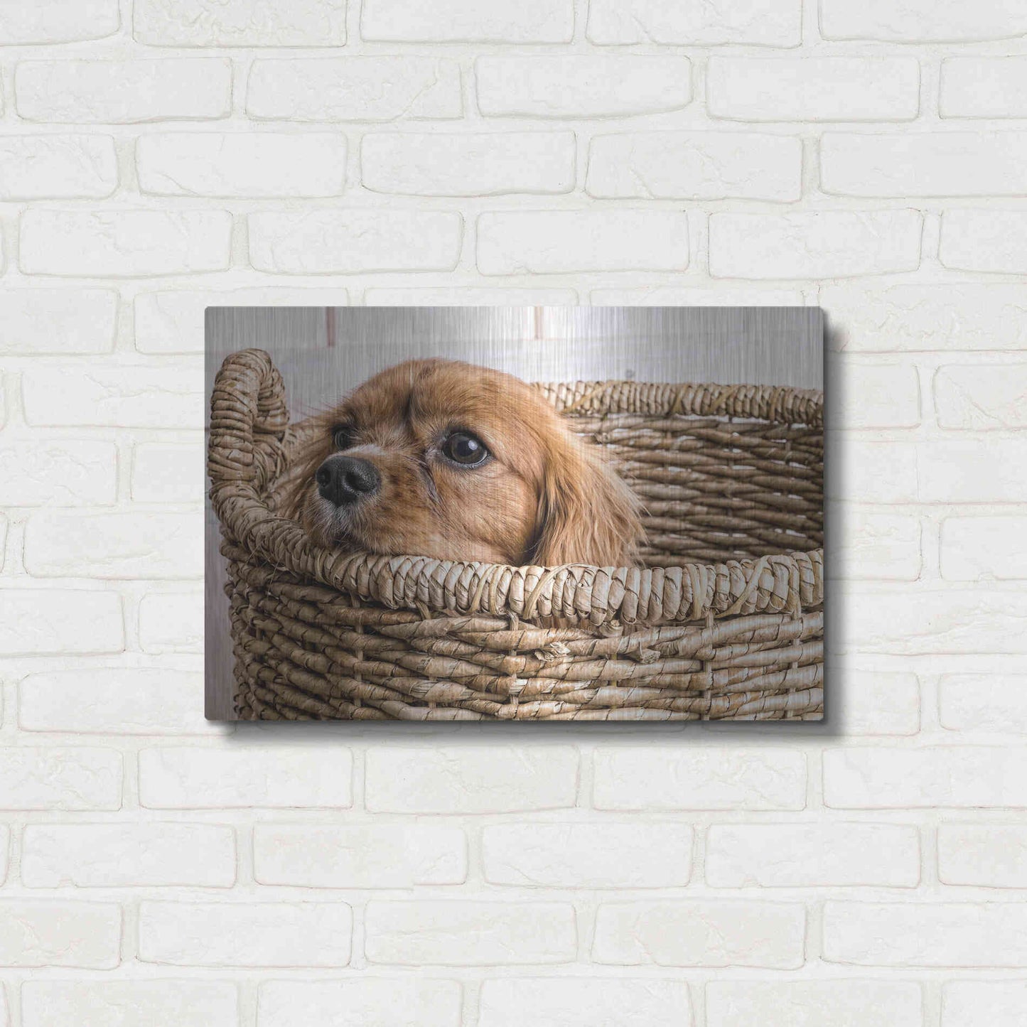 Luxe Metal Art 'Puppy in a Laundry Basket' by Edward M. Fielding, Metal Wall Art,24x16