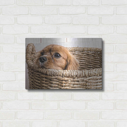Luxe Metal Art 'Puppy in a Laundry Basket' by Edward M. Fielding, Metal Wall Art,24x16