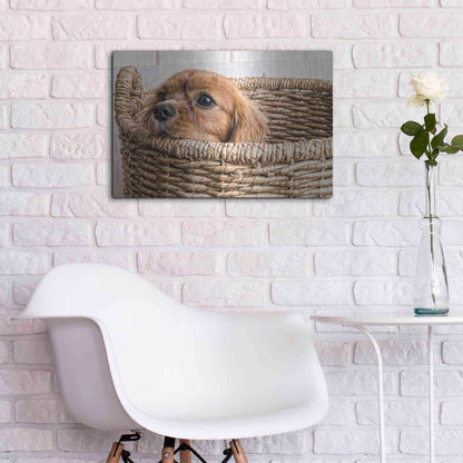 Luxe Metal Art 'Puppy in a Laundry Basket' by Edward M. Fielding, Metal Wall Art,24x16