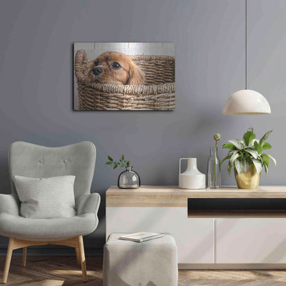 Luxe Metal Art 'Puppy in a Laundry Basket' by Edward M. Fielding, Metal Wall Art,24x16