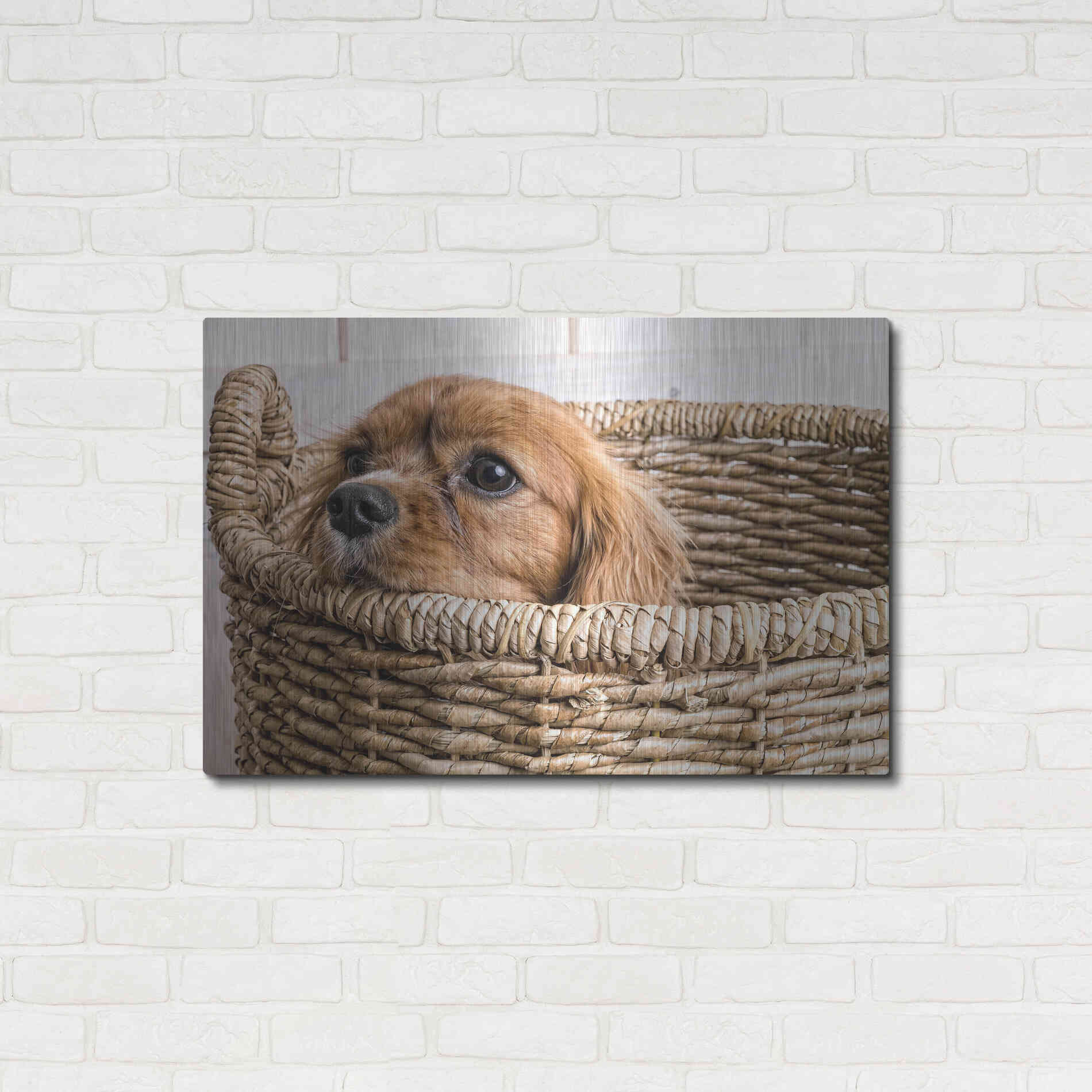 Luxe Metal Art 'Puppy in a Laundry Basket' by Edward M. Fielding, Metal Wall Art,36x24