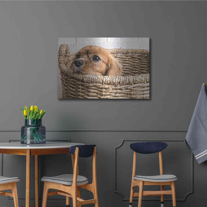 Luxe Metal Art 'Puppy in a Laundry Basket' by Edward M. Fielding, Metal Wall Art,36x24