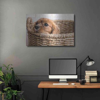 Luxe Metal Art 'Puppy in a Laundry Basket' by Edward M. Fielding, Metal Wall Art,36x24