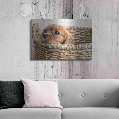 Luxe Metal Art 'Puppy in a Laundry Basket' by Edward M. Fielding, Metal Wall Art,36x24