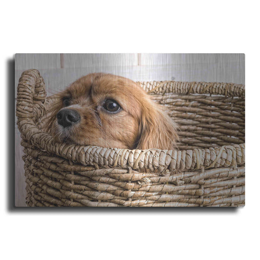 Luxe Metal Art 'Puppy in a Laundry Basket' by Edward M. Fielding, Metal Wall Art