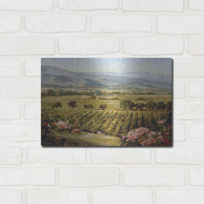 Luxe Metal Art 'Vineyards to Vaca Mountains' by Ellie Freudenstein, Metal Wall Art,16x12