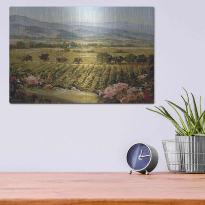 Luxe Metal Art 'Vineyards to Vaca Mountains' by Ellie Freudenstein, Metal Wall Art,16x12