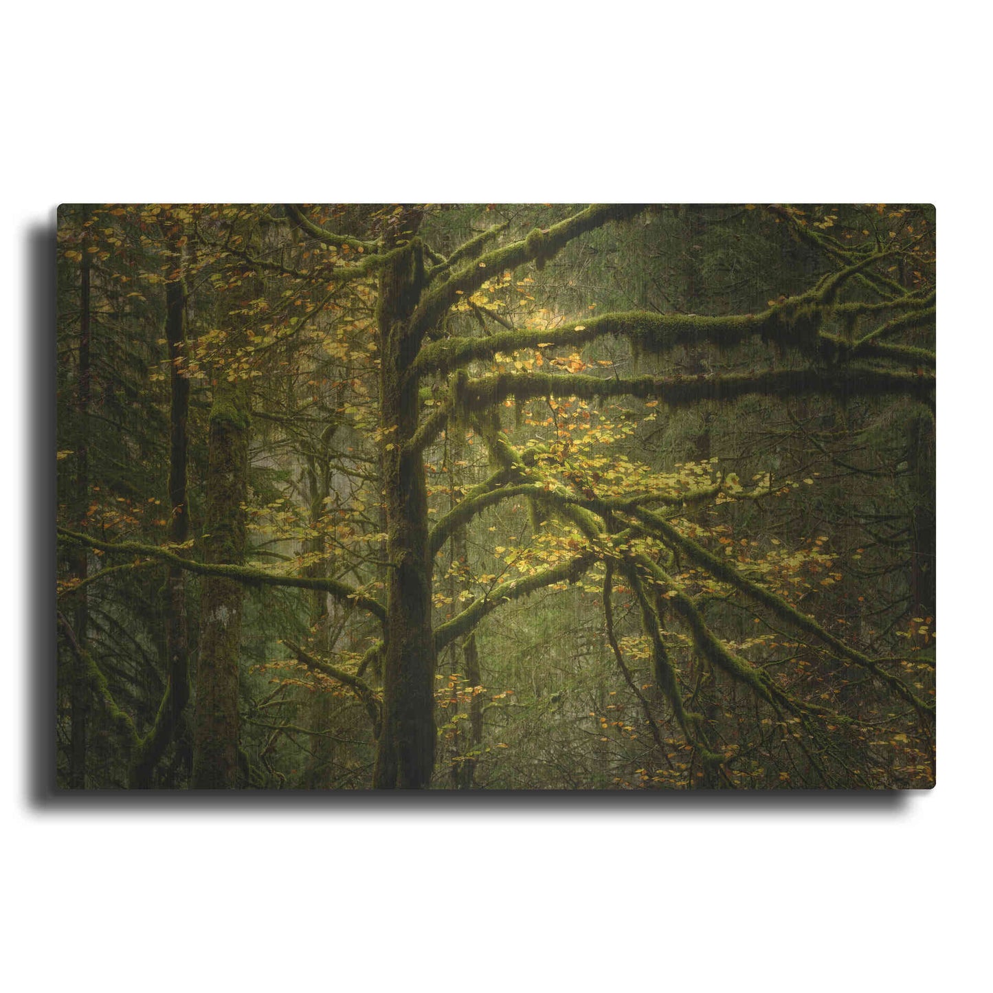 Luxe Metal Art 'Golden Drops' by Enrico Fossati, Metal Wall Art